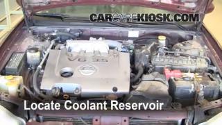 1996 Nissan maxima coolant leak #2