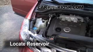 Nissan murano brake fluid leak