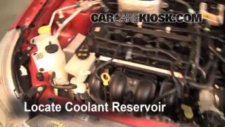 How to change antifreeze on ford focus #6